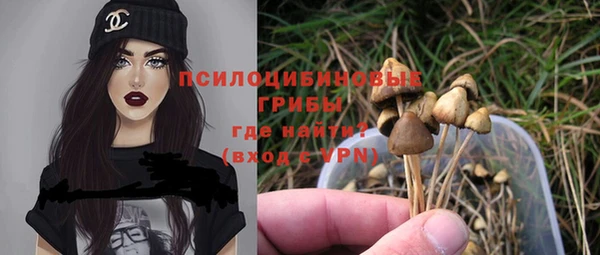 дживик Абинск