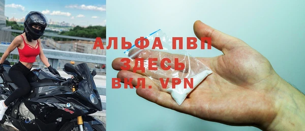 гидра Алексин
