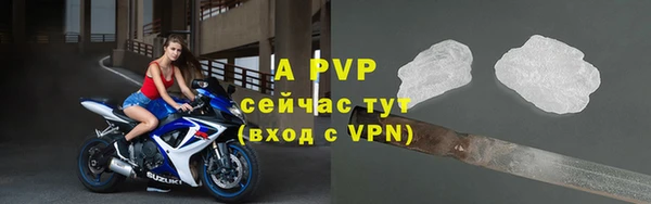 дживик Абинск