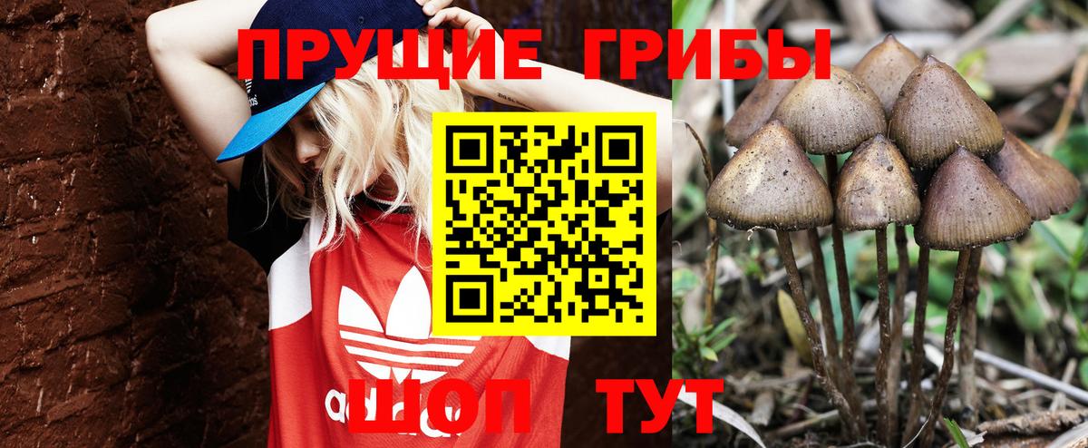 Галлюциногенные грибы Magic Shrooms  Псилоцибиновые грибы ЛСД  Вход с VPN  Ханты-Мансийск 