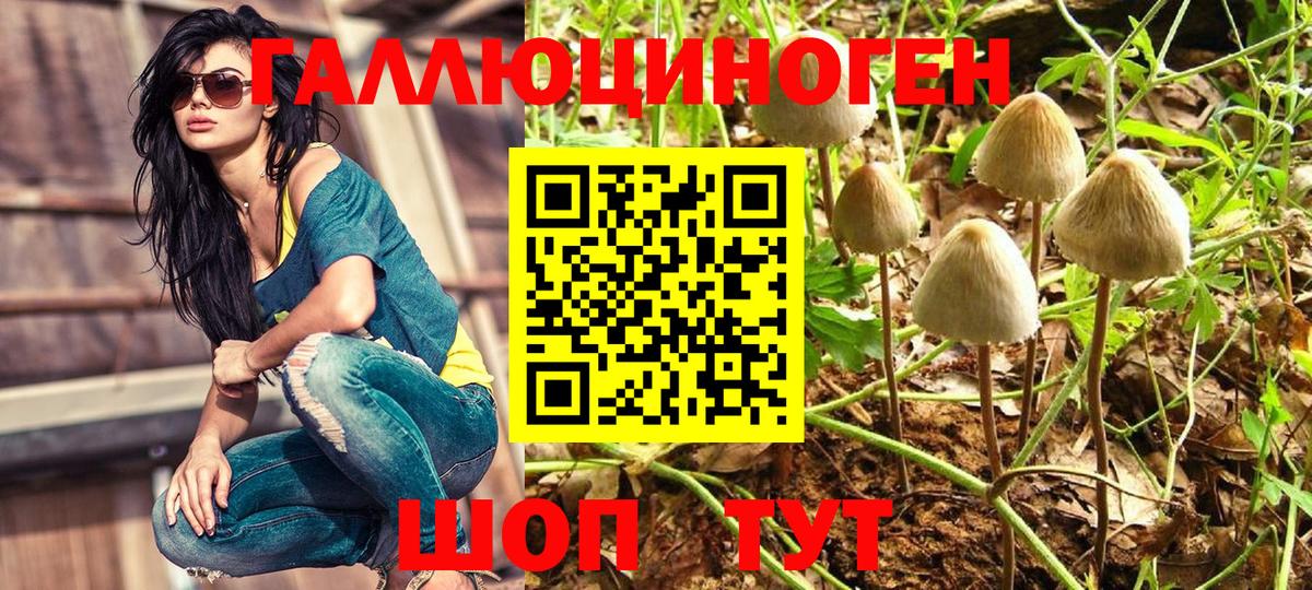 Псилоцибиновые грибы прущие грибы Ханты-Мансийск